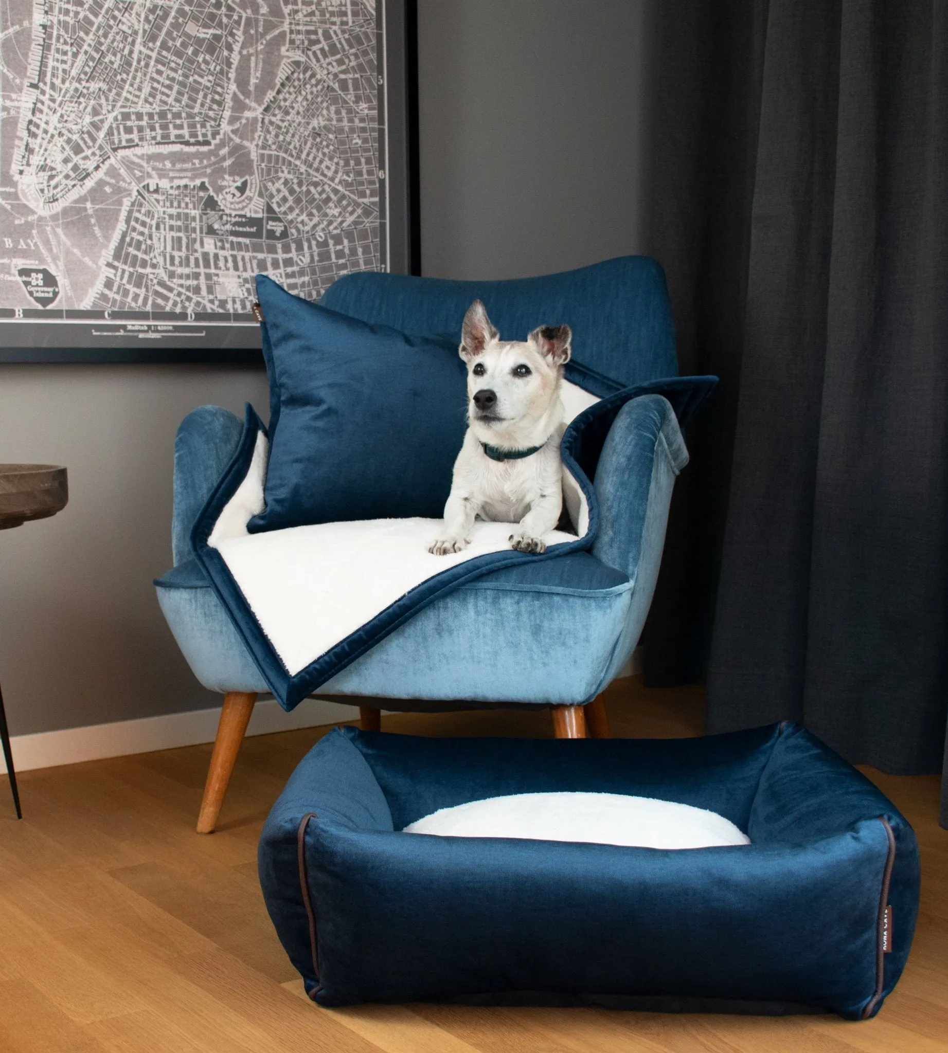 Doggy Décor Set - Midnight Blue Velvet