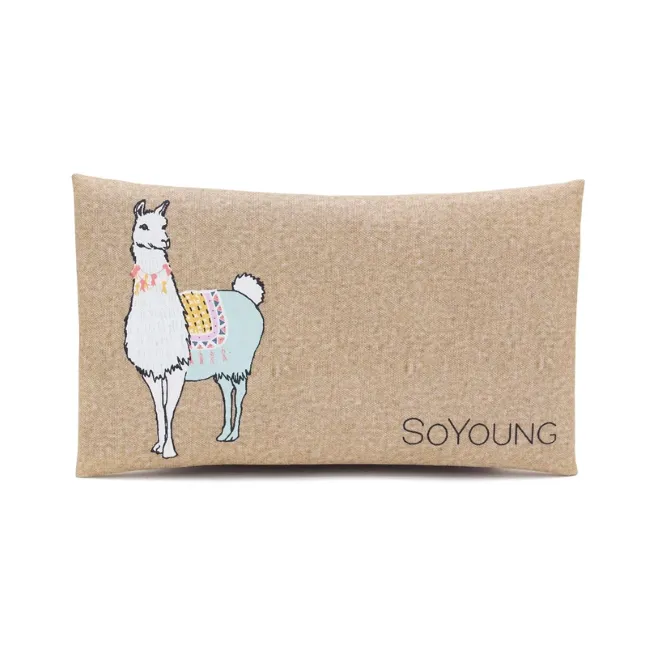 soyoung sweat free ice pack - groovy llama