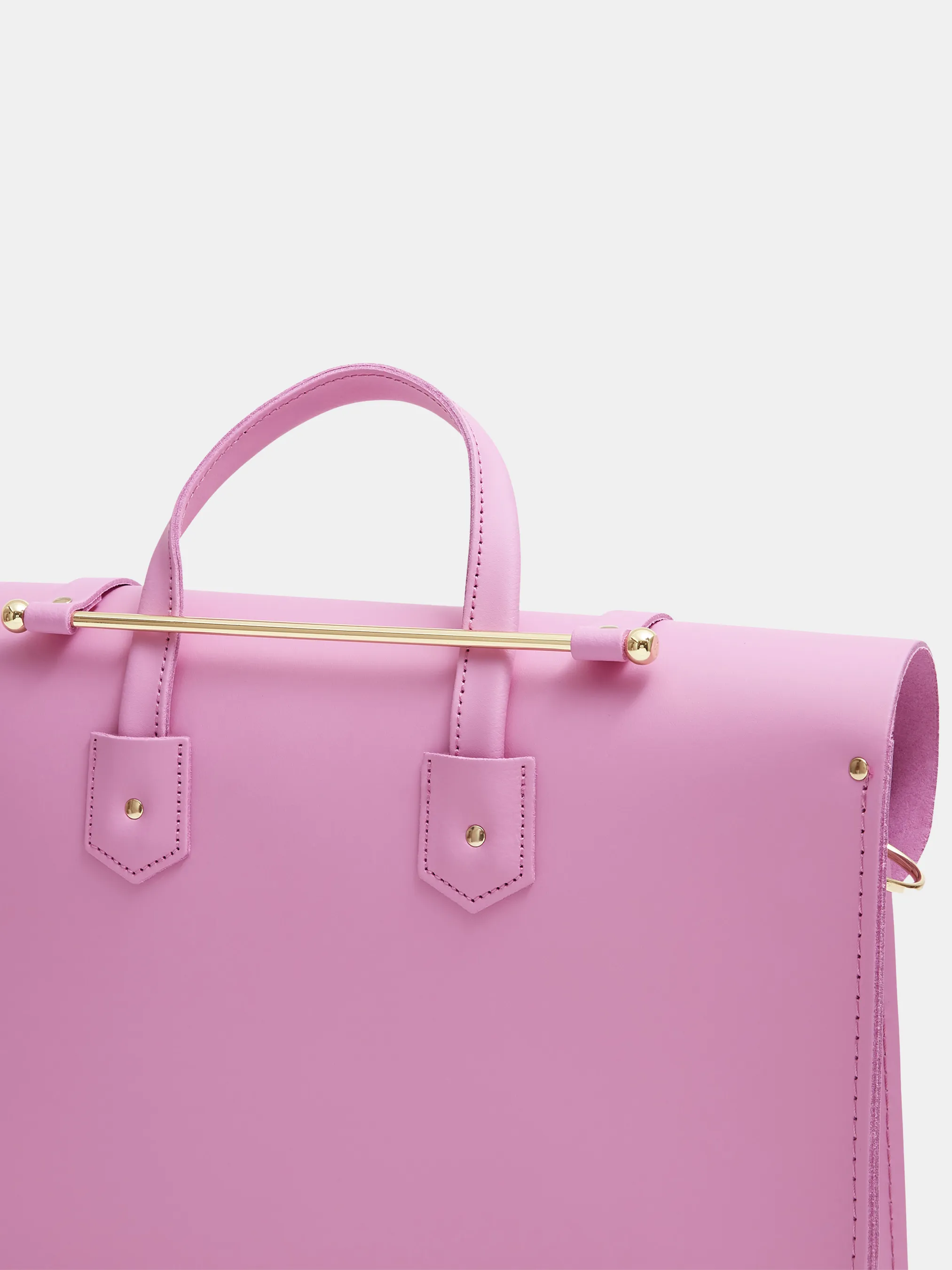 The Music Case - Violet Matte with Rainbow Webbing Strap